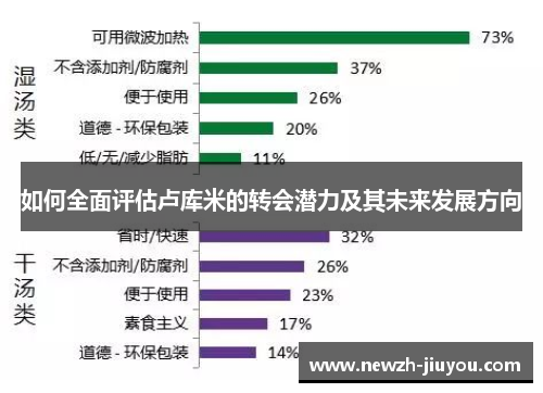 如何全面评估卢库米的转会潜力及其未来发展方向